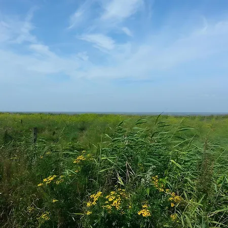 Gaestehaus Kluever Apartment